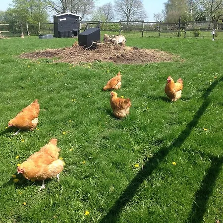 Vejle Golf Lejlighed *