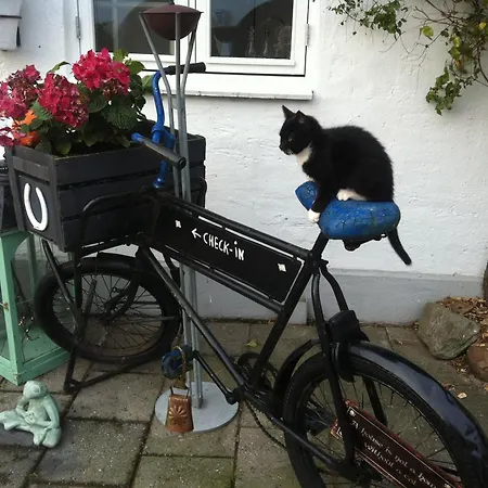 Lejlighed Vejle Golf *