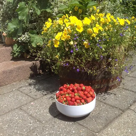 Vejle Golf Lejlighed *