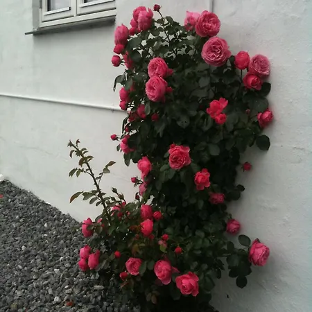 Vejle Golf Apartman *