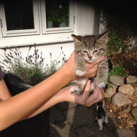 Apartman Vejle Golf *