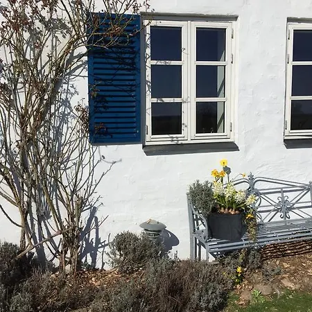 Vejle Golf בורקופ