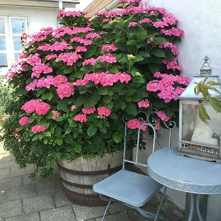 Apartman Vejle Golf *