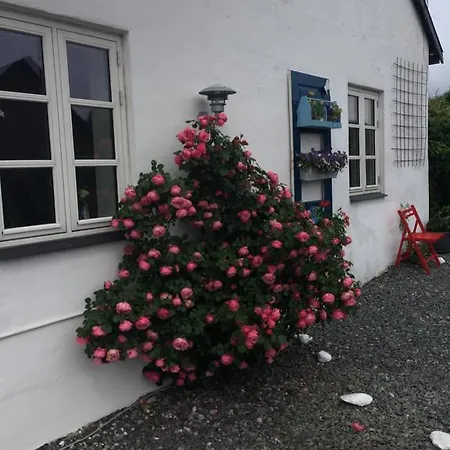 Vejle Golf * בורקופ