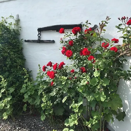 Vejle Golf Apartman Børkop