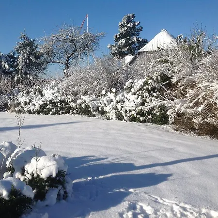 Vejle Golf * בורקופ